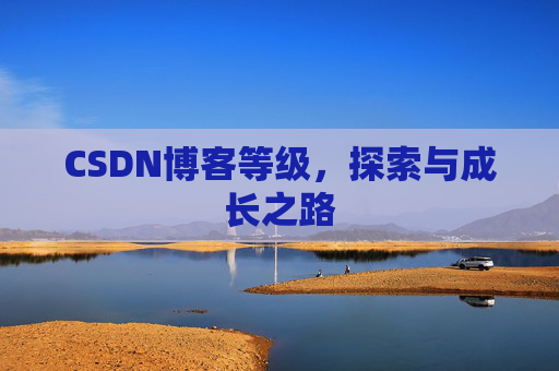 CSDN博客等级，探索与成长之路